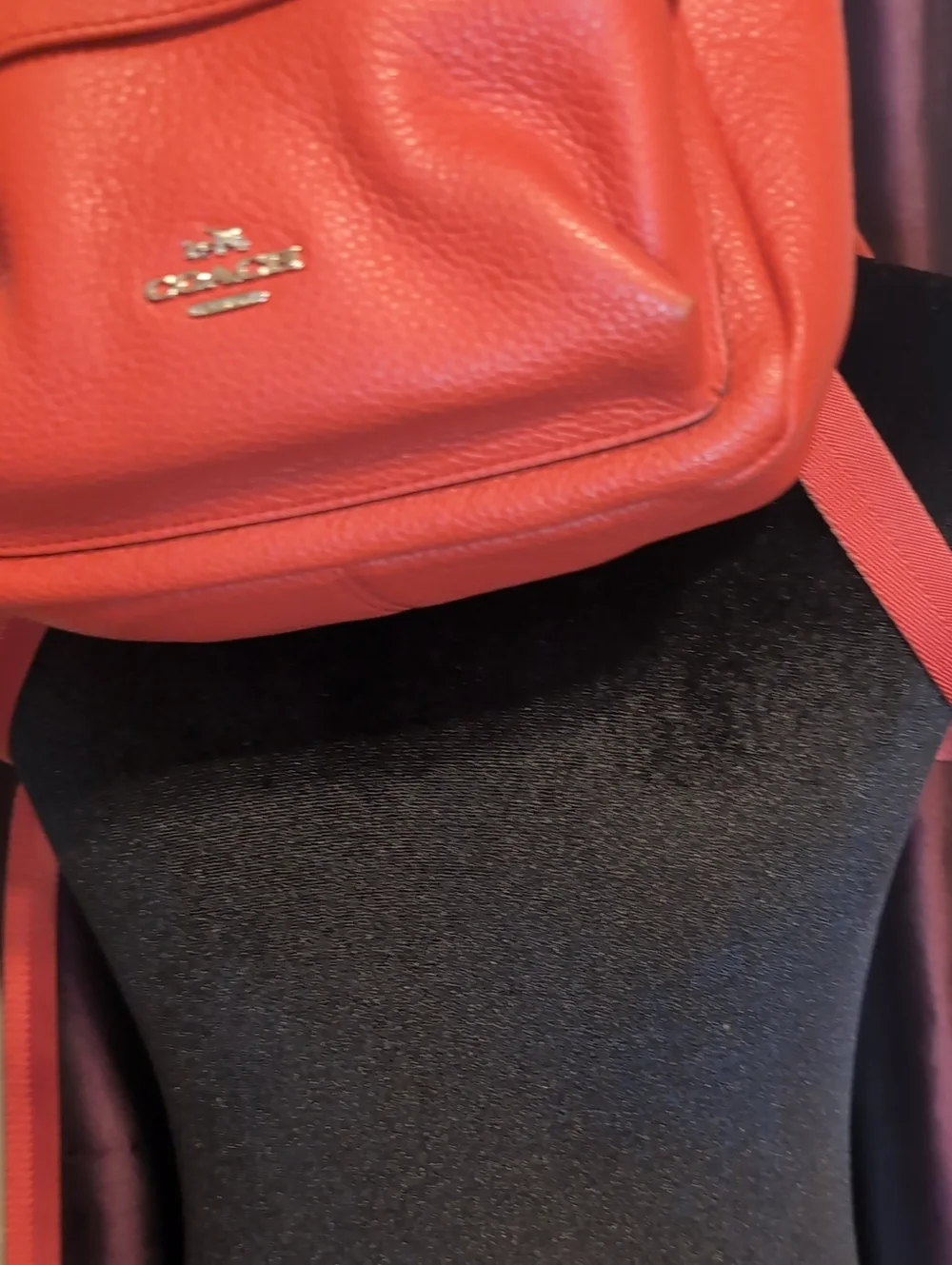 Coach Carmine Pebbled Leather Mini Campus Backpack